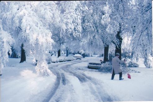Photo of Fairlington during a blizzard in 1978.
